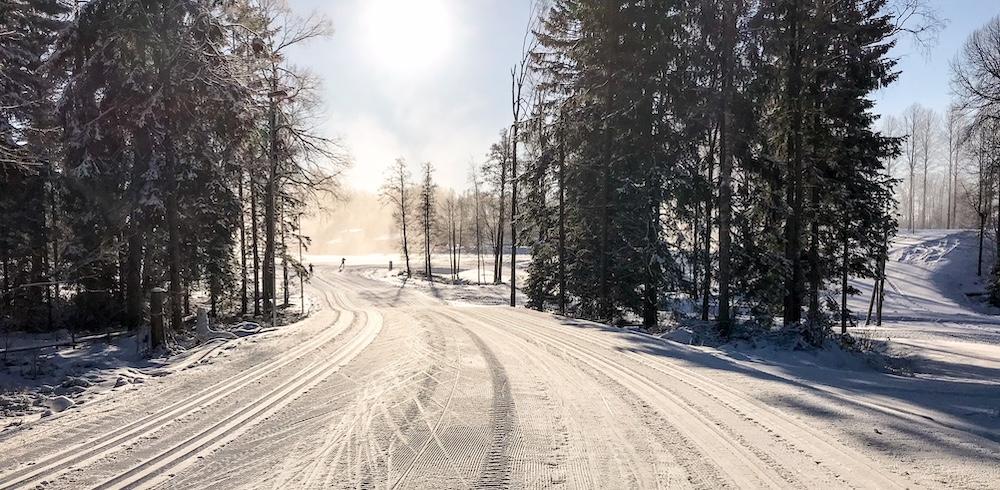 Skidspår i solsken