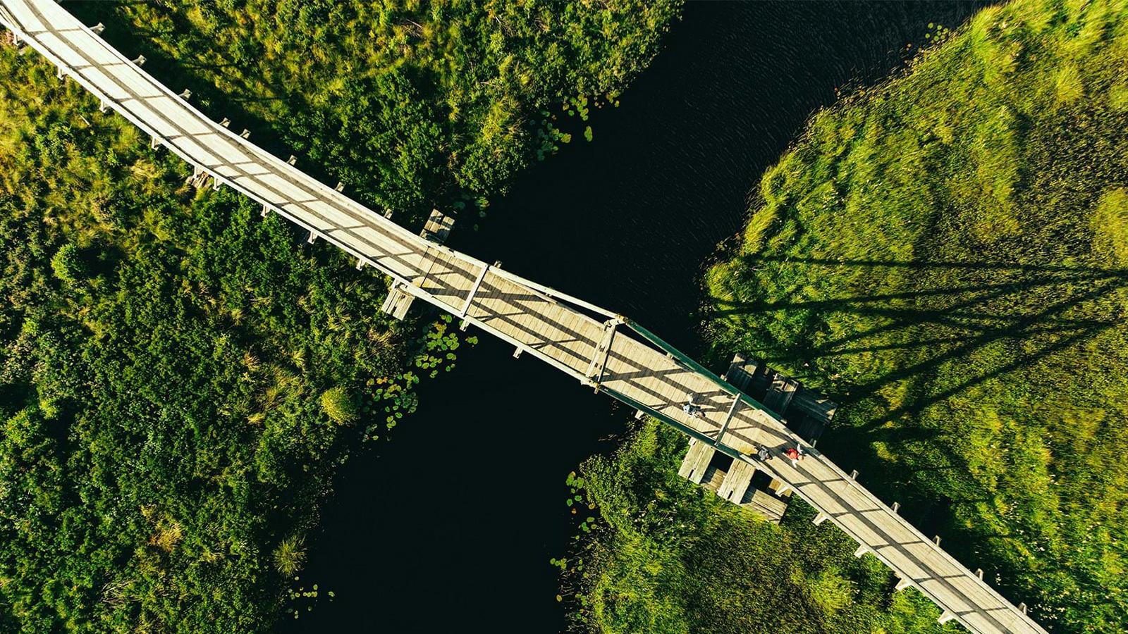 Vänga Mosse ovanifrån.