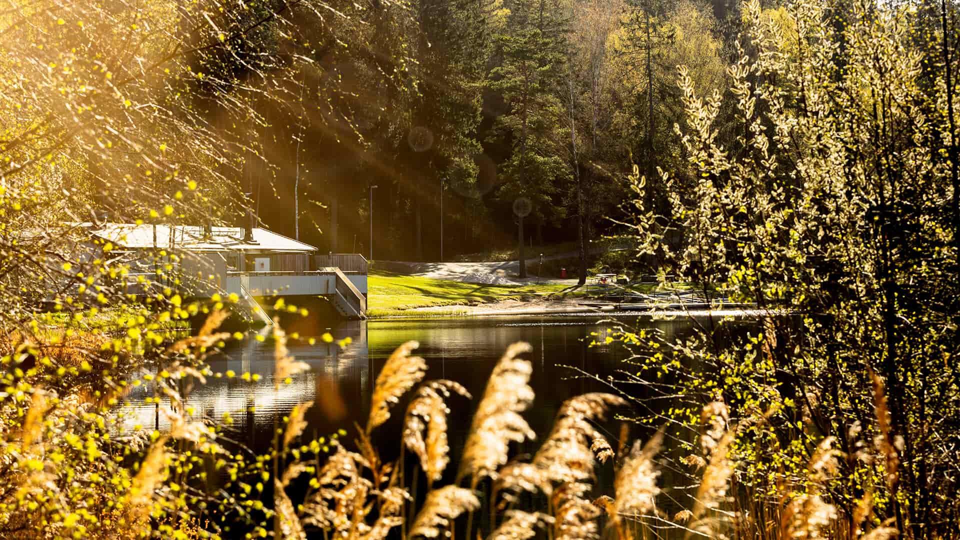 Kypegårdens friluftsområde