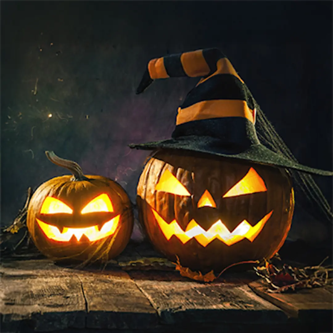 halloween pumpor med ljus i