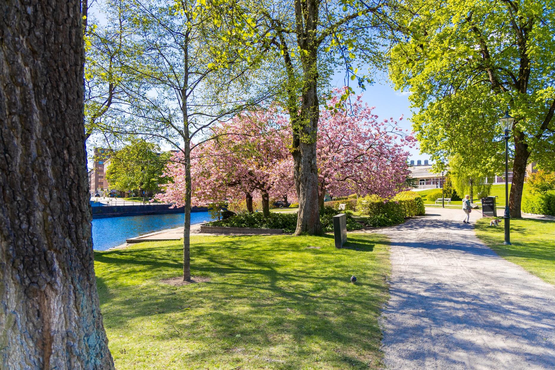 Möt våren i Borås