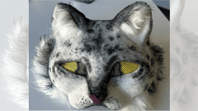 En ansiktsmask som liknar ett kattliknande djur.