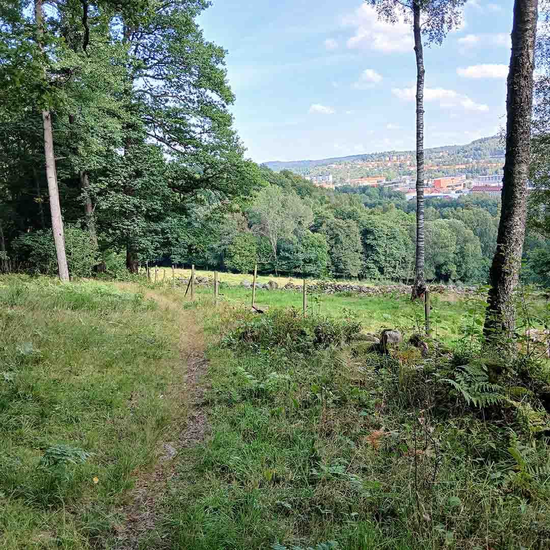En stig i naturreservatet Rya åsar med utsikt över Borås.