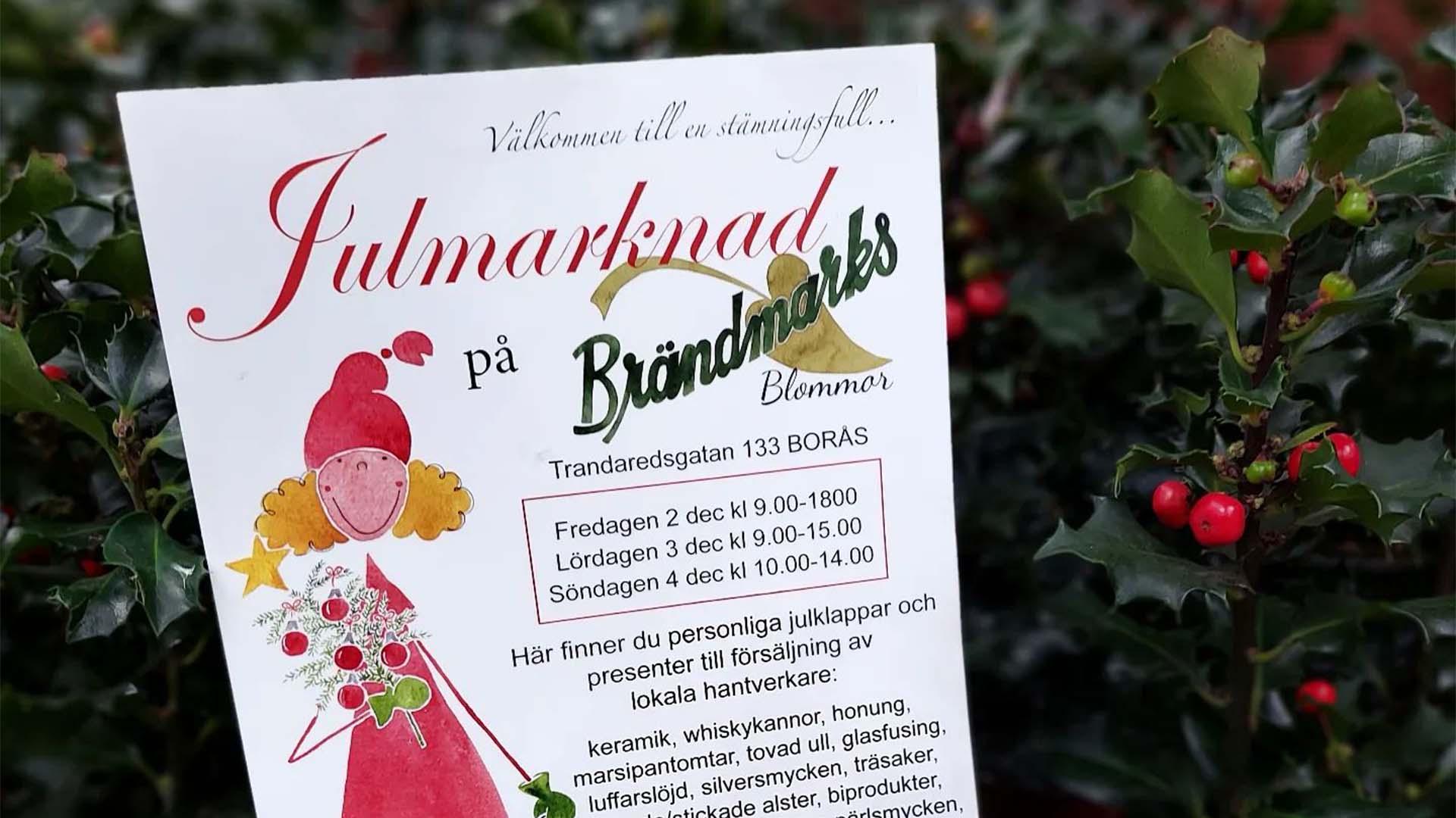 En grön buske med röda bär och en flyer med texten Julmarknad på Brändmarks Blommor.