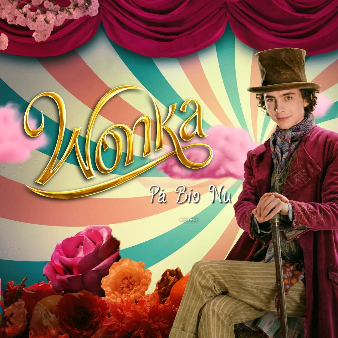 Willy Wonka sitter med hatt och käpp och tittar in i kameran.